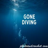 Gone Diving