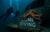 Gone Diving Wreck – Underwater E-Card with Divers and Octopus - Image