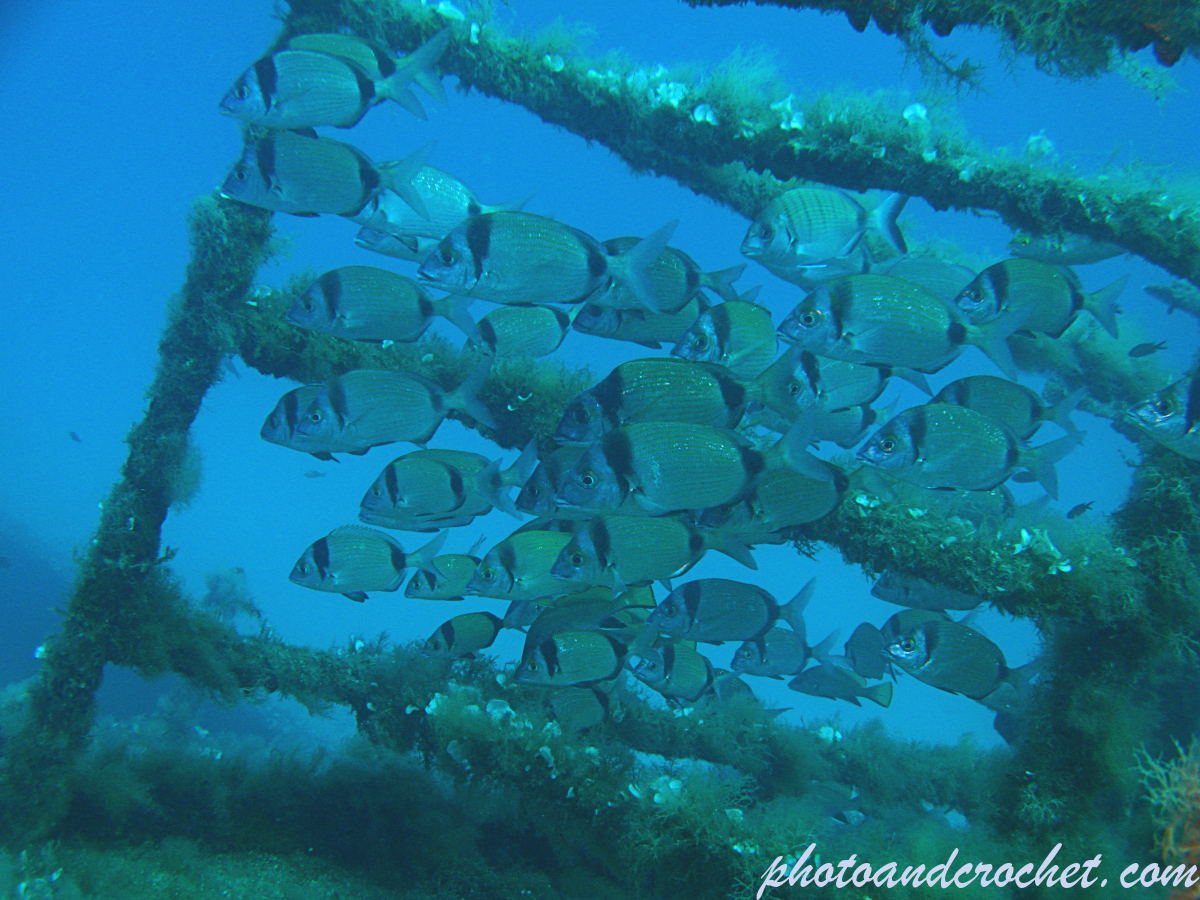 Wrecks - Tug 2 - Image