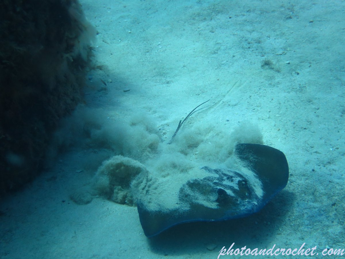 689b05d7e380b_img_5895