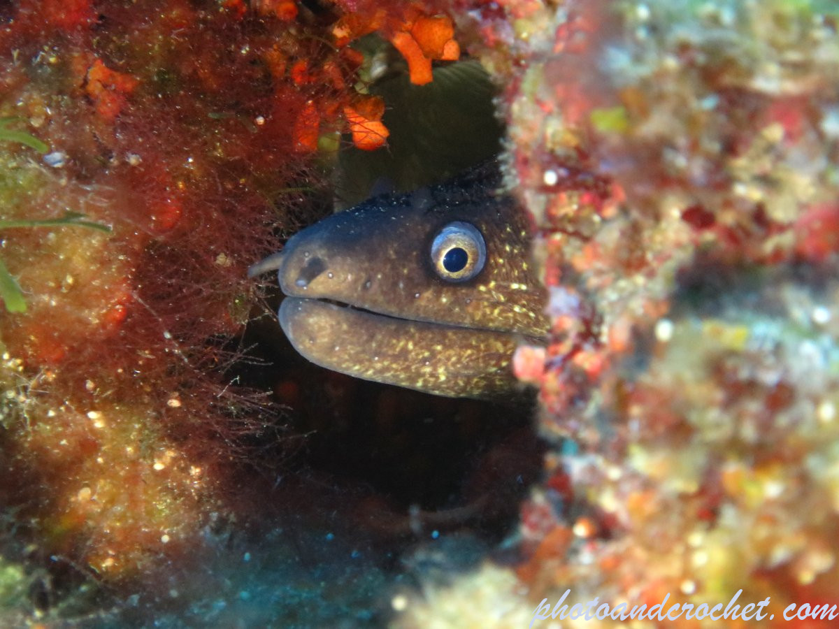 689c7ced78593_img_5939_uw_100825