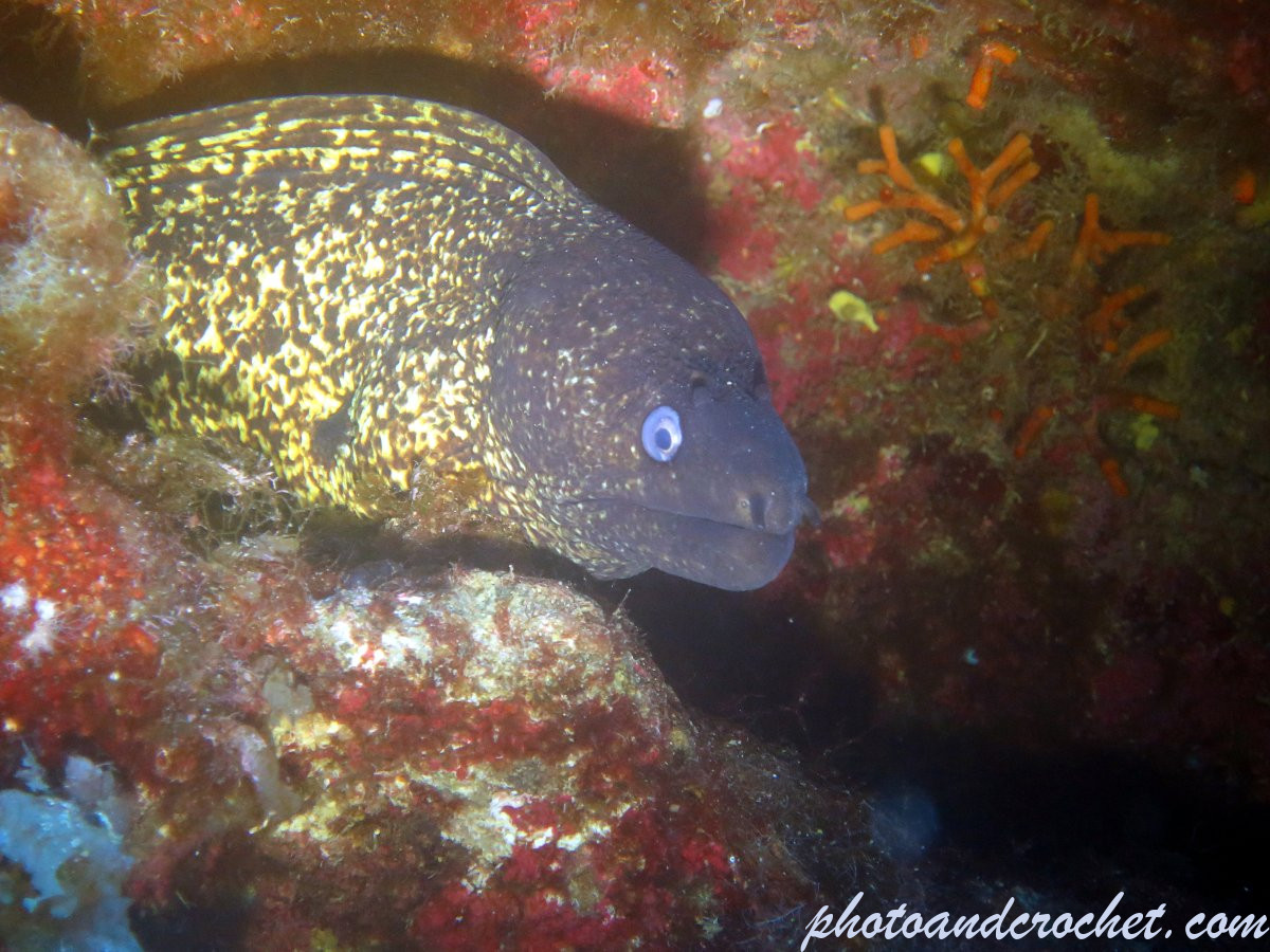 689f1622e1144_img_5998_uw_140825