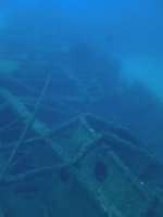 Imperial Eagle - Breaking