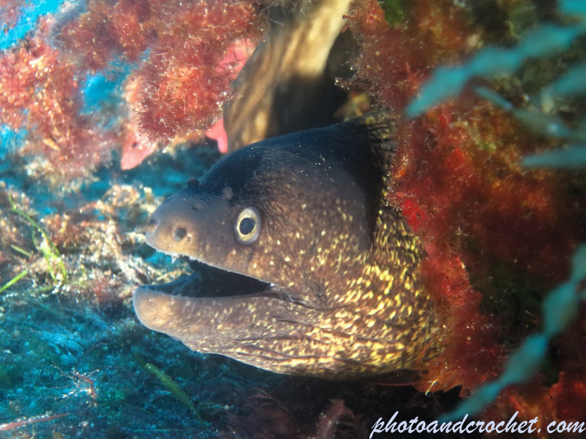 68c70d5b4b44c_img_6112_uw_280825