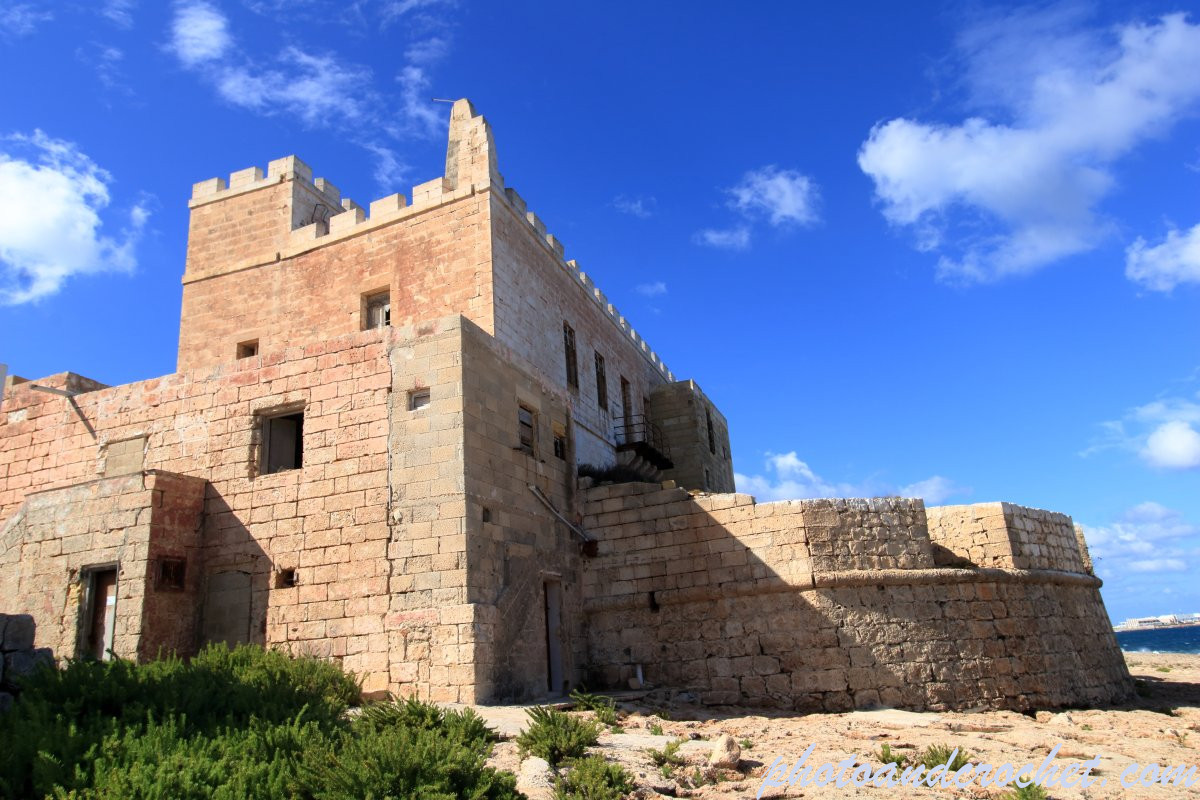 68df8f68ddbc5_img_0930_pl_021025