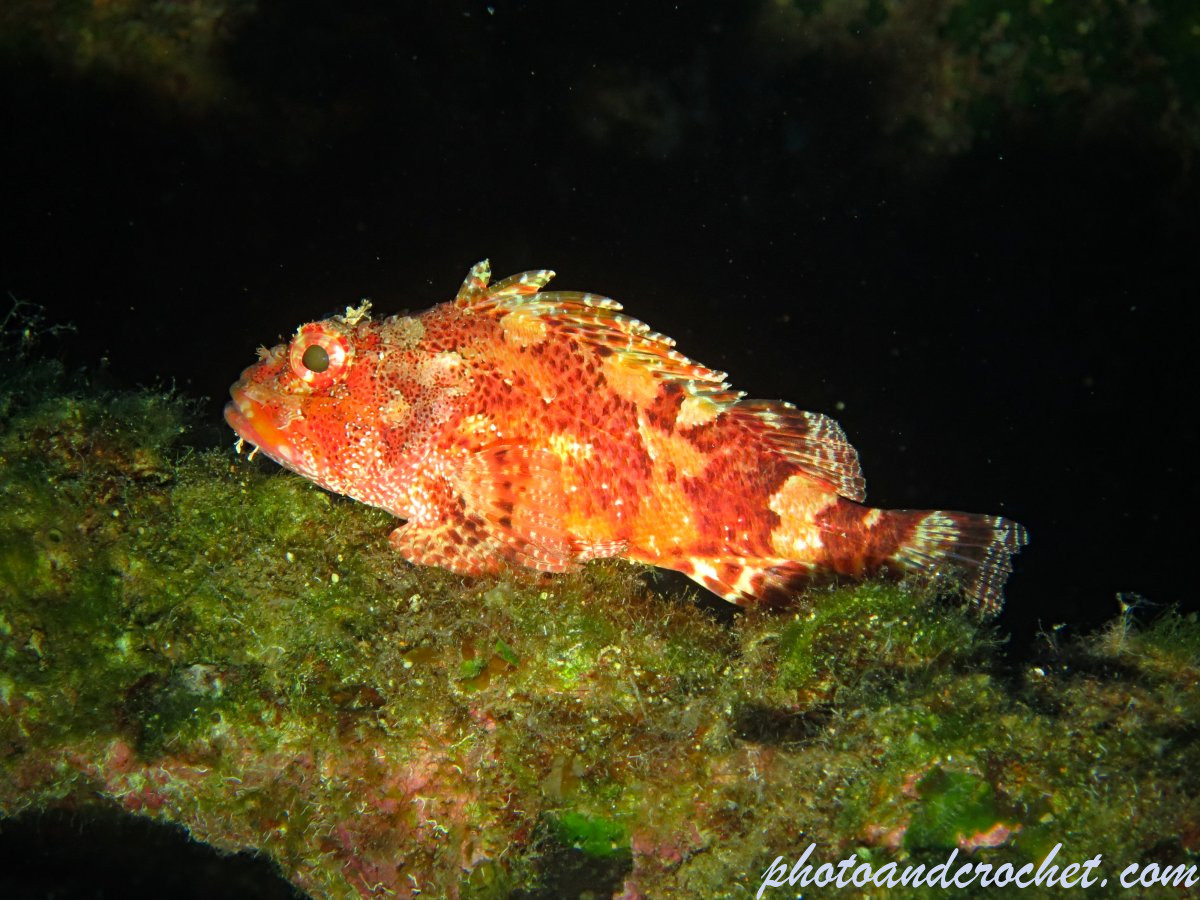 68f3d6d2352a1_img_6221_uw_200925