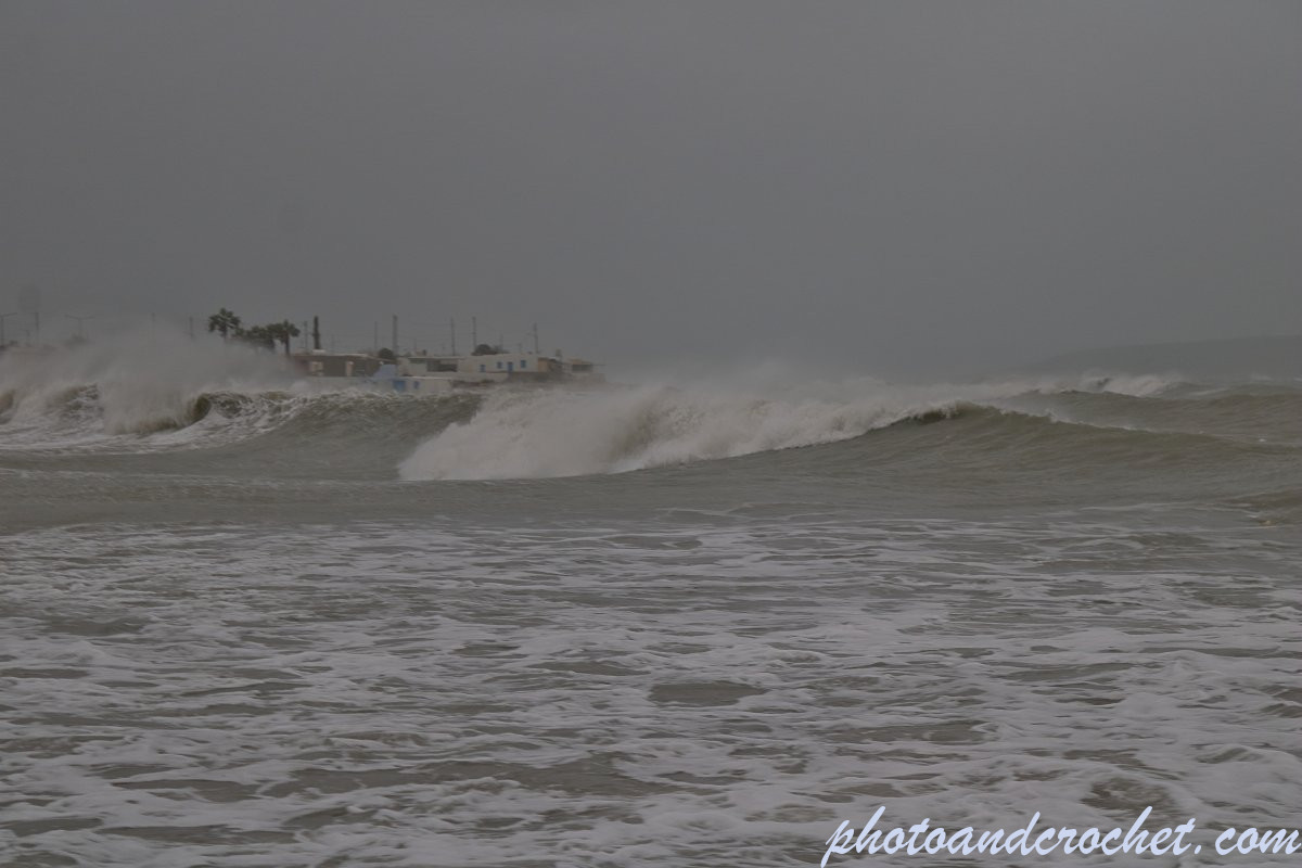 696fe124b9183_img_1624_nat_200126