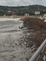 69712a021f0a7_img_8264_nat_210126