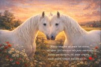 69807a450bfd8_eternallove_020226