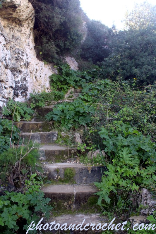 699ec9afade3f_img_2091_pl_180226