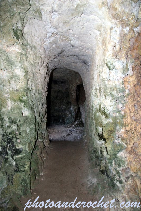 699ed56c7f61f_img_2098_pl_180226