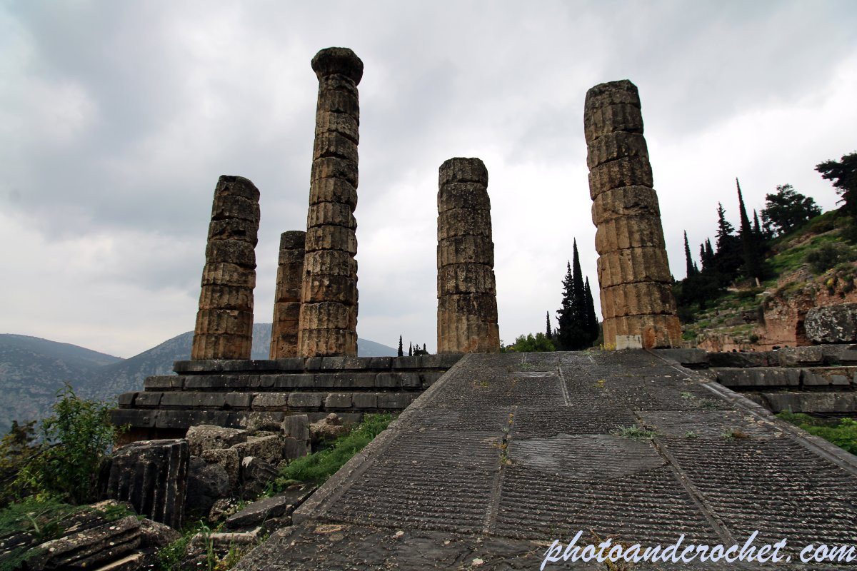 69c56544b79a5_img_2291_pl_170326