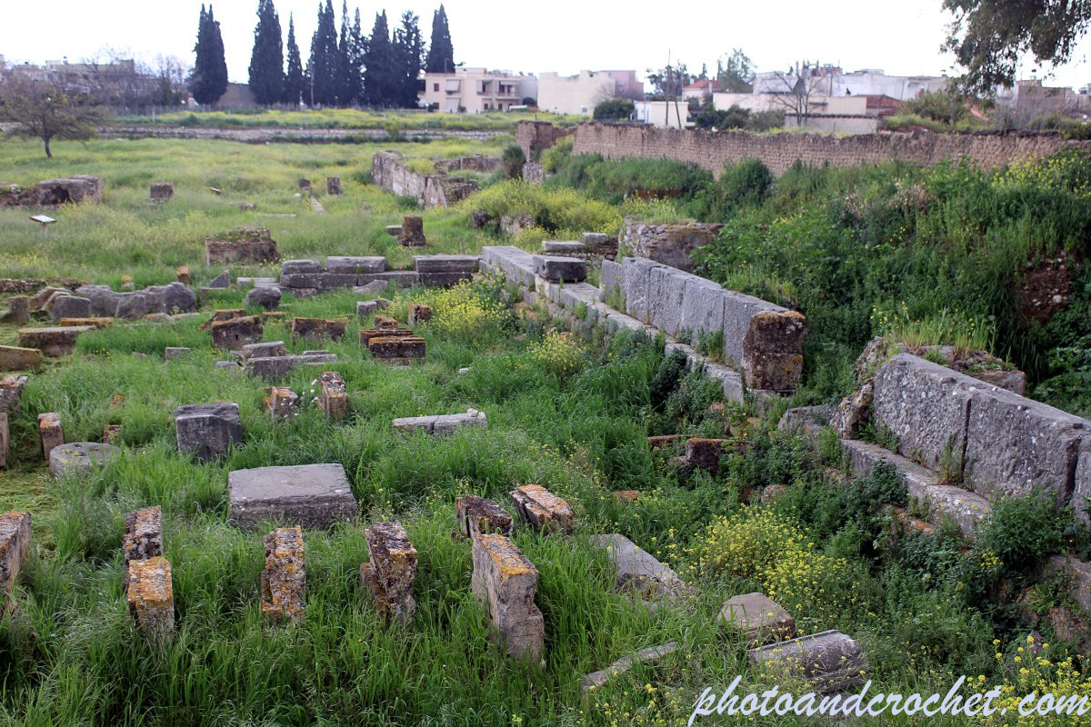 69de3168c6d0a_img_2598_pl_210326