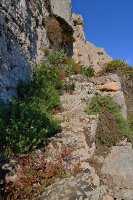 6a2d56f99eae4_img_2755_pl_260526